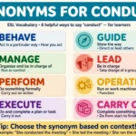 Synonyms for conduct vocabulary infographic