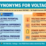 Synonyms for voltage vocabulary infographic